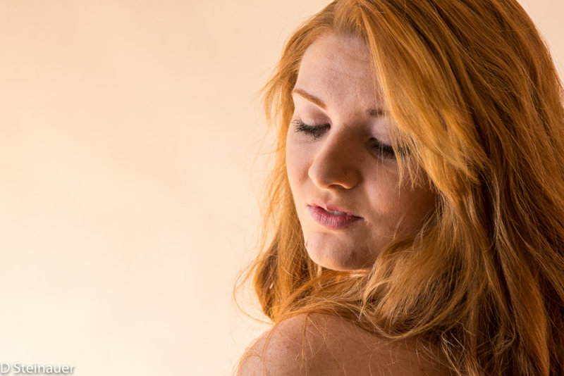 ds20151221-0039 LR2.jpg