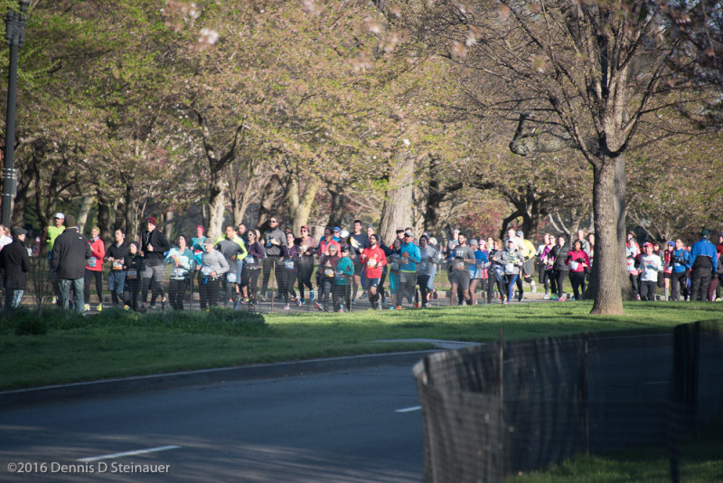 ds20160403-0405 CUCB().jpg