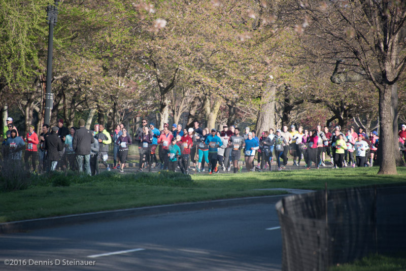 ds20160403-0407 CUCB().jpg