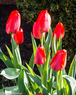 ds20140426-0384w.jpg