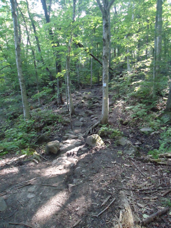 DSC03361.JPG