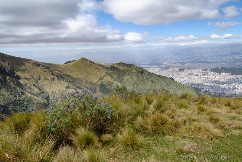 View from the Pichincha volcano. At almost 4200 m (13,700 ft), literally breathtaking!