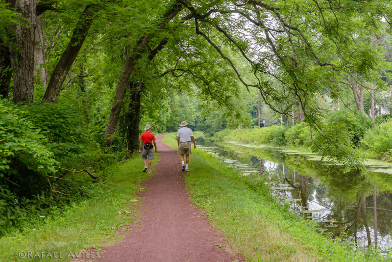 A beautiful path.