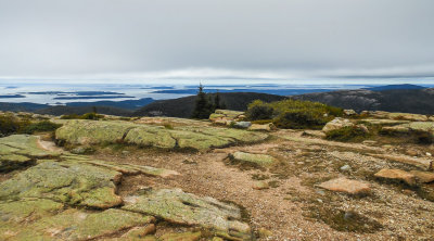 On the way to the top of Cadillac Mountain — at Acadia National Park. 
