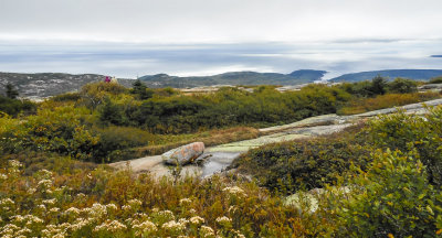 On the way down from the top of Cadillac Mountain — at Acadia National Park. 