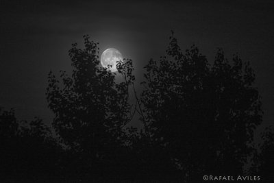 Moonrise in Pennsylvania