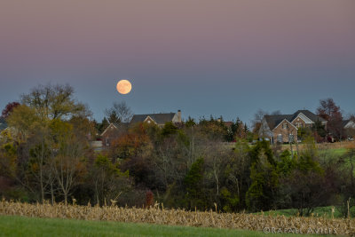 Super moonrise in suburban Pennsylvania