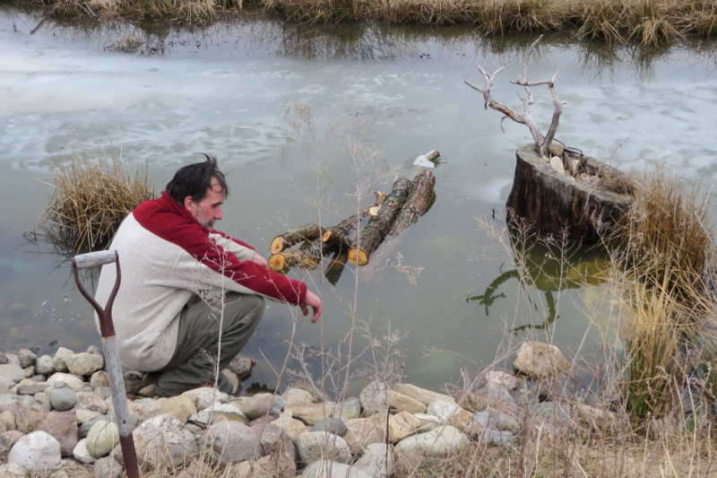 Niche pour grenouilles et poissons