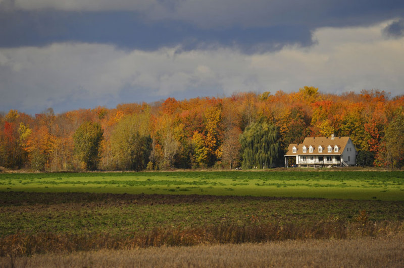 Automne Antonnien