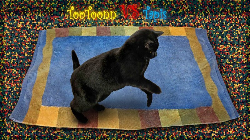 TooToonn / VS / Tapis