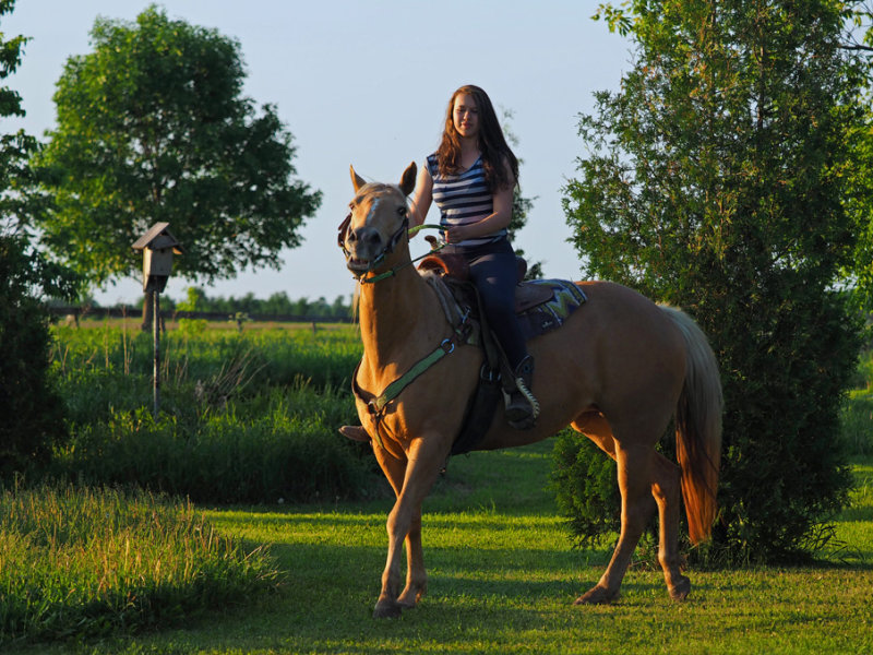 Mia  cheval / Chez nous