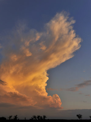 LES VOLUTES DU CUMULONIMBUS