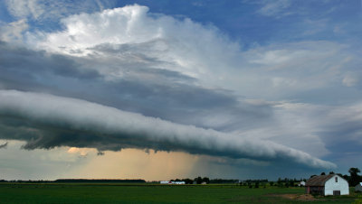 ARCUS / PIERRE JOLY PHOTOGRAPHE /  PiJoly.com / FocusNature.net