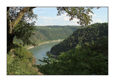 Rhine view from Loreley Rock