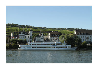 Tourist boat at Rdesheim