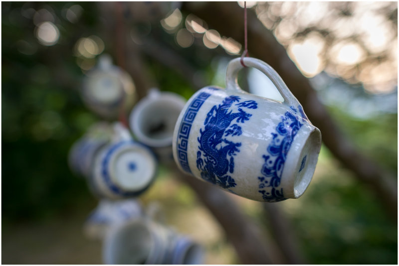 Cups Hanging in Trees
