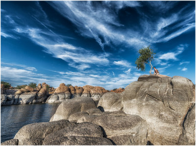 Lone Tree and Deirdre