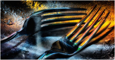 Forks