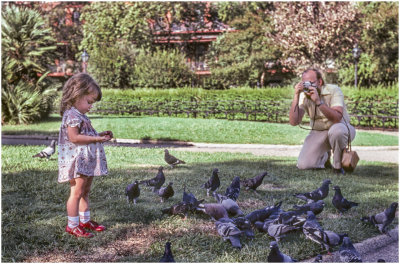 Pictures in the Park-1977
