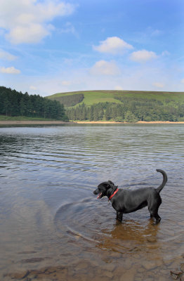 derwent reservoir 020.JPG