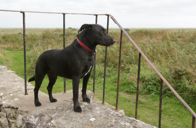 On guard