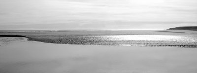 montrose and lucker 437bw.jpg