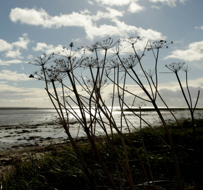 boulmer2.jpg