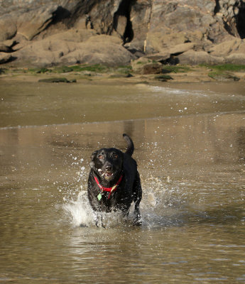 cornwall2013 033.jpg