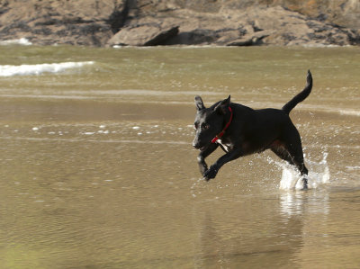 cornwall2013 036.jpg