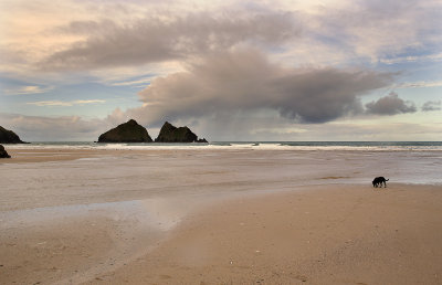 cornwall2013 043.JPG