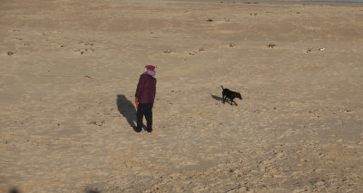 bamburgh feb2015 012.jpg