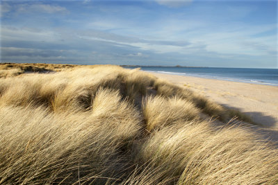 bamburgh feb2015 014.jpg