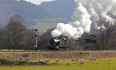 Steel Steam and Stars Gala IV