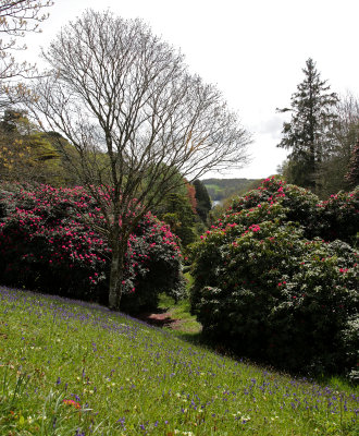 glendurgan 161.jpg