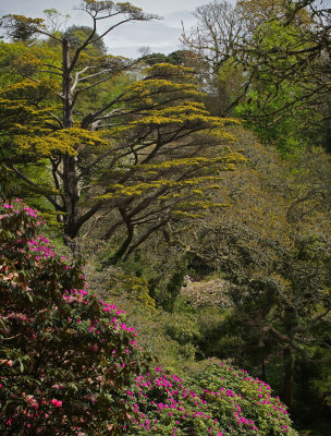 glendurgan 166.jpg