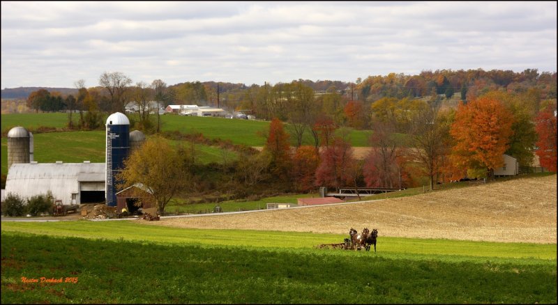 Lancaster Pa  USA . Amish farm country 