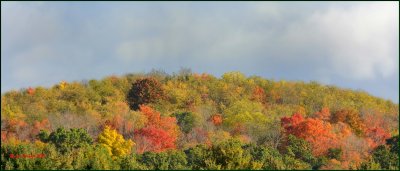  Laurel Highland Pa Autumn Tree Top Rainbow / The soft side of Autumn