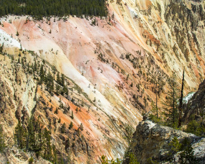Canyon AL7A1658.jpg