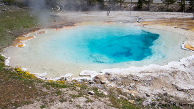 Black Sand Basin IMG_4401.jpg
