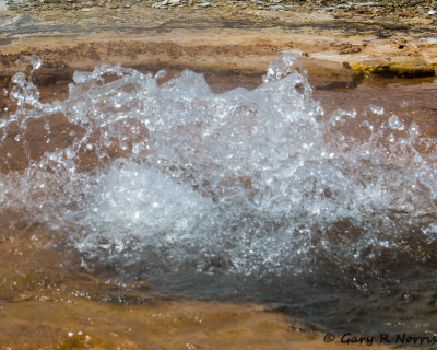 Lower Geyser Basin IMG_4441.jpg