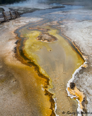 Lower Geyser Basin IMG_4442.jpg