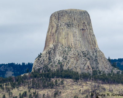 Devil's Tower IMG_4582.jpg