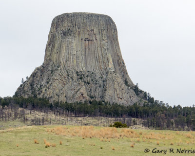 Devil's Tower IMG_4586.jpg