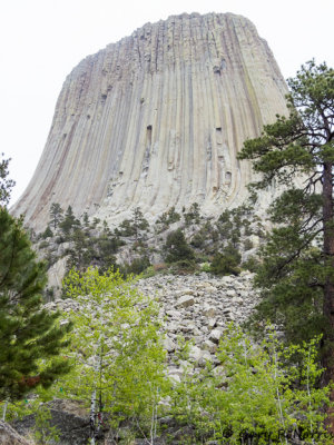 Devil's Tower IMG_4595.jpg