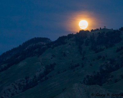 Moon IMG_9399.jpg