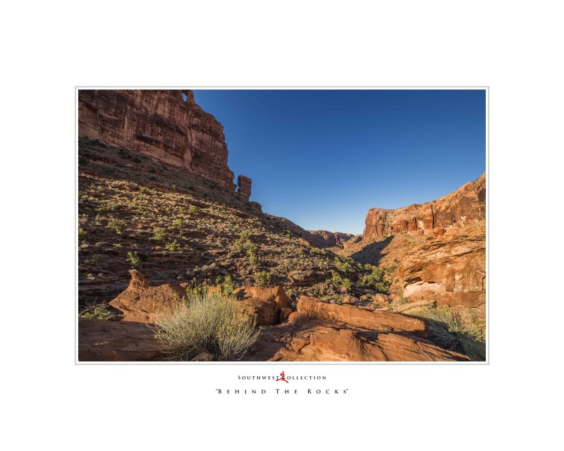 Art Poster_Solstice Snake_Behind the Rocks_16x20 copy.jpg