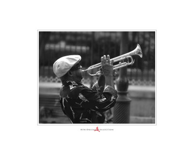 Art Poster_New Orleans_Basking Trumpeter copy.jpg