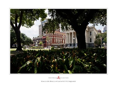 Art Poster_New Orleans_Gallier Hall_Lafayette Square copy.jpg