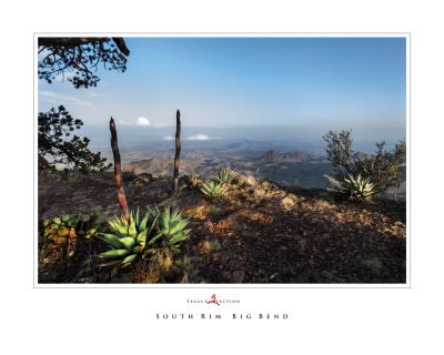 Art Poster_Big Bend South Rim_16x20 copy.jpg