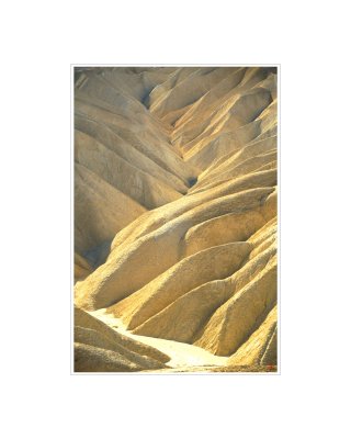 Art Poster_Death Valley_Valley of Gold_1_16x20 copy.jpg